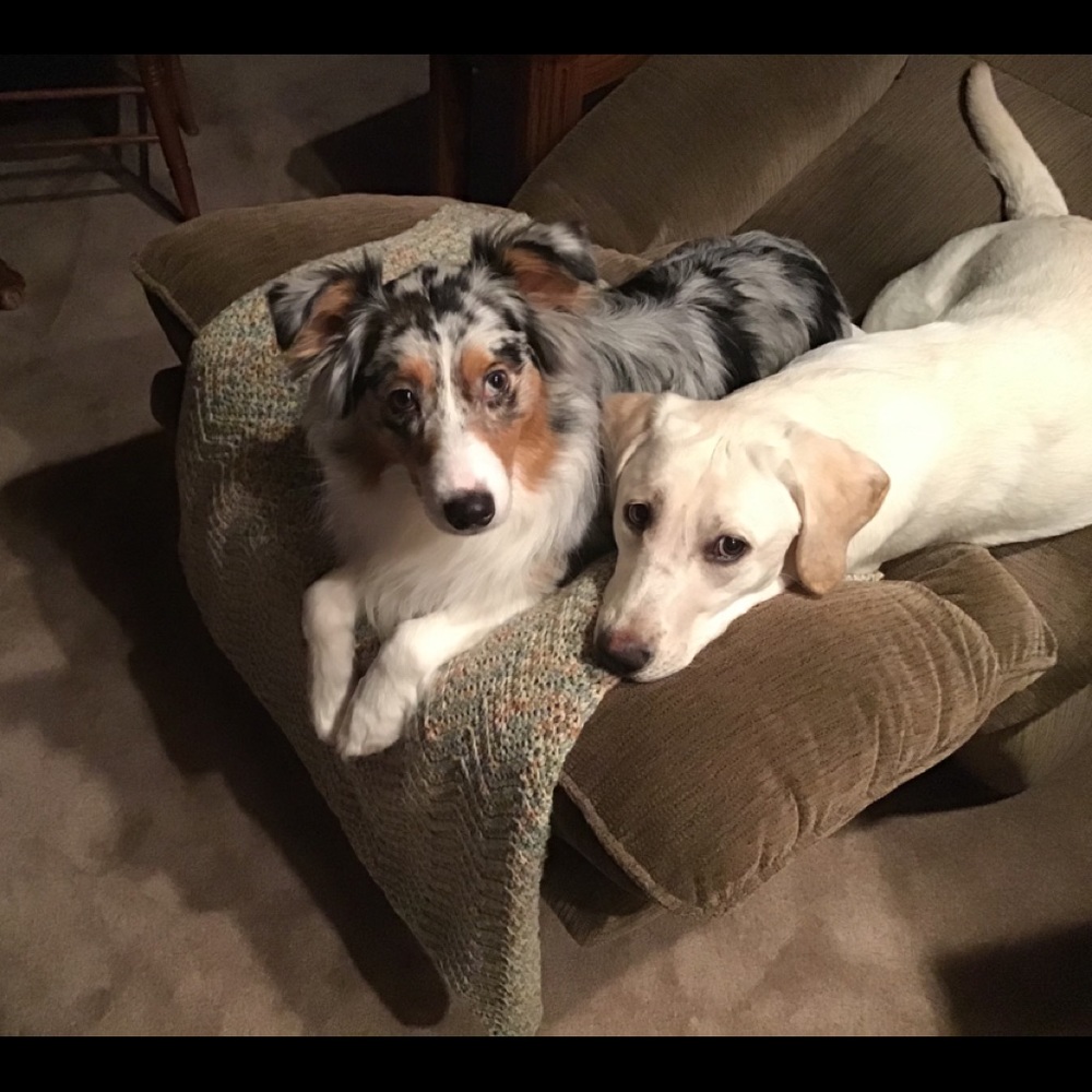 Meet your Posher, Leah